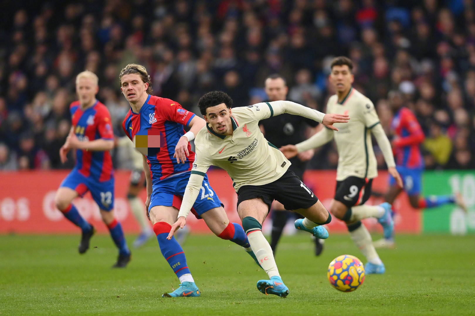 在昨晚的一 在昨晚的一